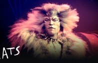 La comédie musicale CATS sera présentée du 8 au 13 mars 2022 à Montréal